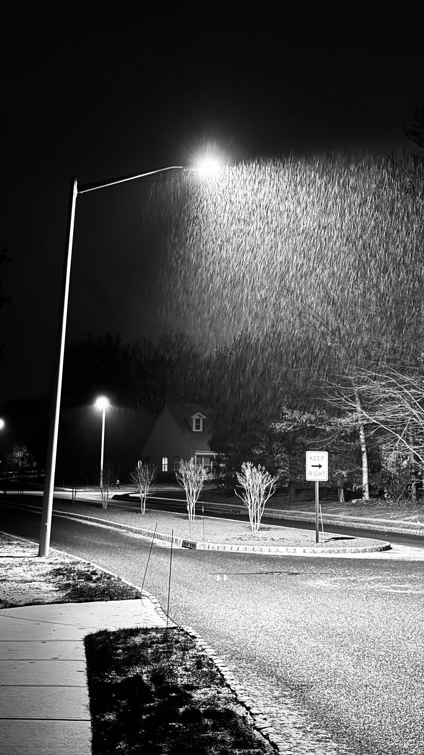 Winter 2024